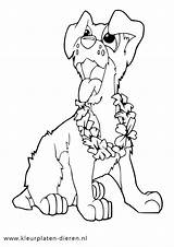 Kleurplaten Hond Dieren Honden Bloemen Makkelijk Hieronder Moeilijke Vind Simpele sketch template