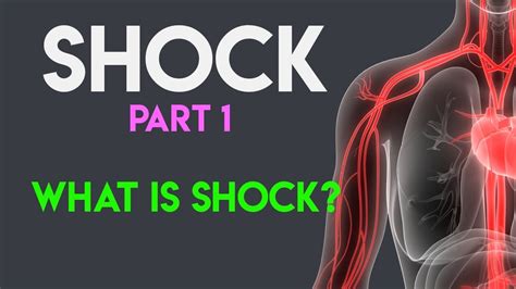 shock shock pathophysiology shock part  youtube