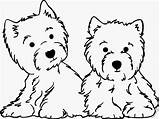 Westie Coloring Pages Terrier Highland West Drawing Template Line Printable Getcolorings Logo Westies Drawings Color April Same Sketch sketch template