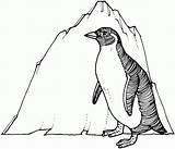 Penguin Pinguin Pingouin Penguins Emperor Pinguim Mewarnai Ausmalbild Kleurplaten Eisberg Pinguini Albumdecoloriages Pinguino Bingung Anaknya Mencari Sedang Iceberg Adelie Desenhar sketch template