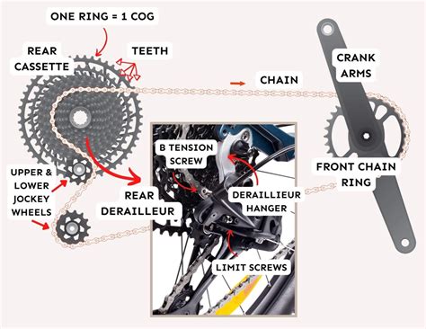 bike anatomy  complete glossary diagrams  wheeled wanderer
