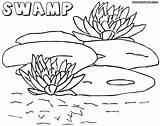 Swamp Coloring 66kb 1000 sketch template