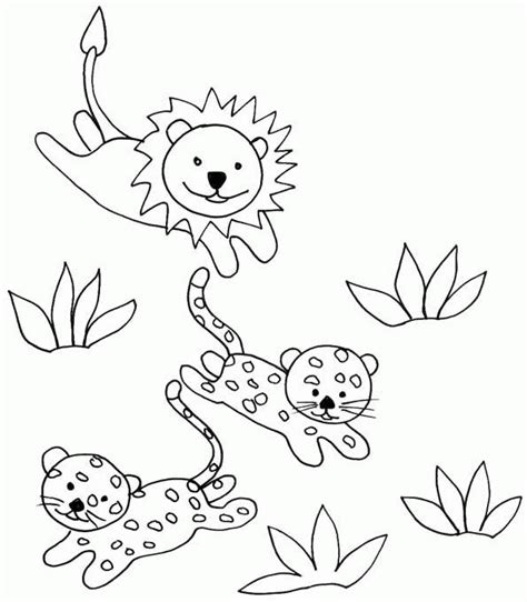 cheetah coloring pages coloringpagescom