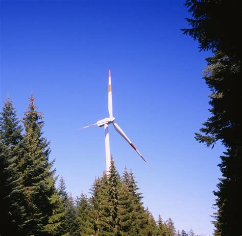 energiewende   auch noch der nabu die windkraft bremsen welt