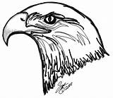Eagle Bald Coloring Printable Pages Color Animals Animal Print Drawings Sheets Gif sketch template