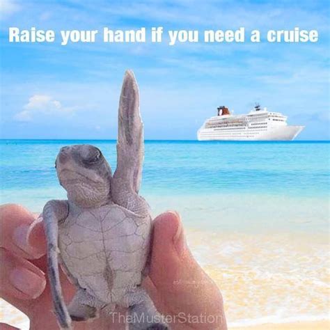 Giggles Cruise Vacation Quotes Cruise Quotes Travel