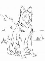 German Shepherd Coloringhome Educativeprintable sketch template
