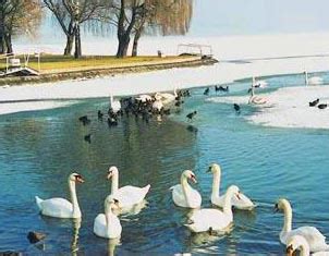 telen  lehet ueduelni  balatonnal