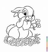 Bunny Rabbit Coloring Face Pages Popular sketch template