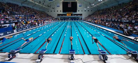 championship season swimming