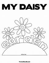 Daisy Coloring Pages Flower Scout Garden sketch template