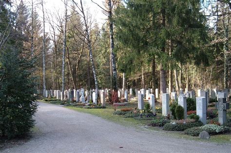 cemetery   headstones  trees   backgrouds   dirt road surrounded