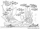 Mewarnai Laut Pemandangan Bawah Menggambar Marimewarnai Paud Ikan Coral Realistic Dasar Imagixs Sketsa Kolam sketch template