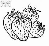 Strawberries Drawing Fruit Embroidery Coloring Patterns Vegetables Getdrawings Pages Vintage sketch template