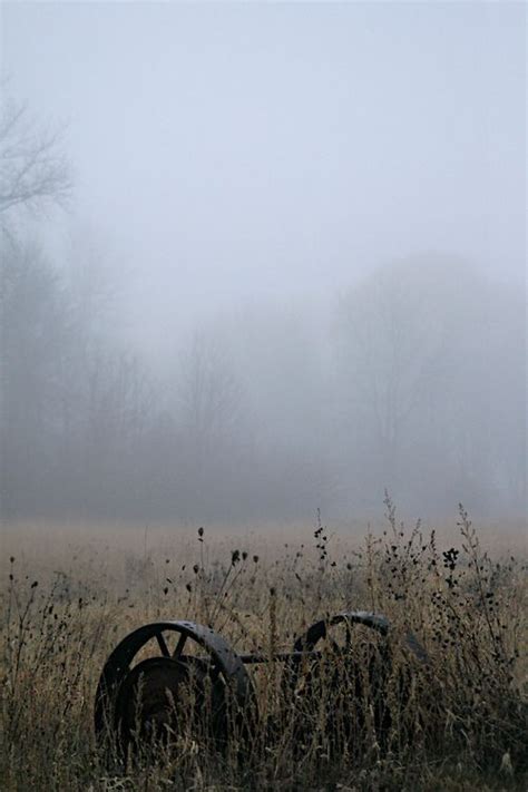 mist shrouded glen   cover   musket fire   catch