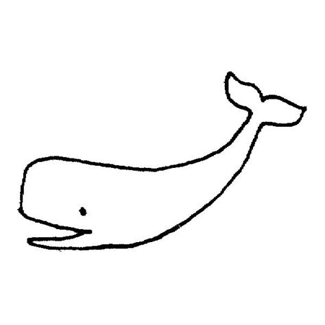 whale outline coloring page picture super coloring pages