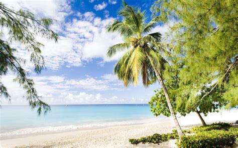 10 Brilliant Beaches In Barbados For Strolling Surfing
