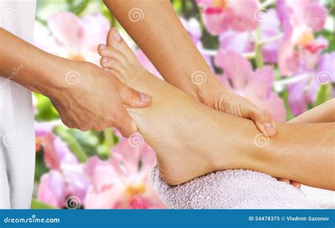 foot massage   spa salon stock image image  healer masseuse