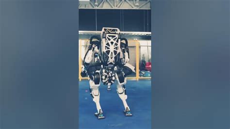 Boston Dynamics Robots Get Sturdy Youtube