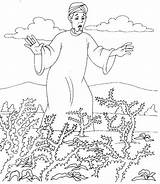 Coloring Bible Thorns Sower Parables Para Colorir Semeador Kids Da Pages Seeds Plants Choked Parabola Do Jesus Parábola Infantil Some sketch template