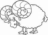 Mewarnai Domba Untuk Paud Hewan Yaitu Empat Berkaki sketch template