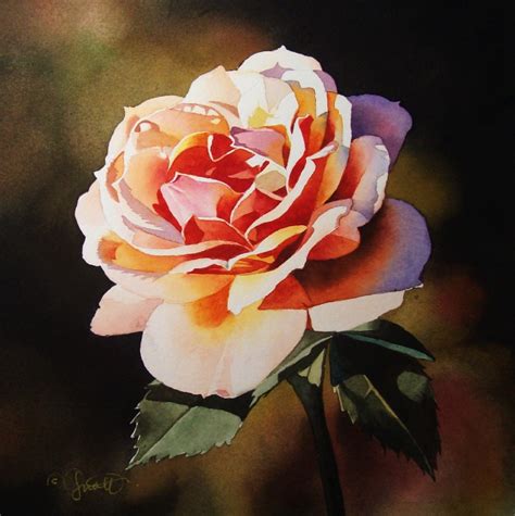 contemporary realism sunset rose