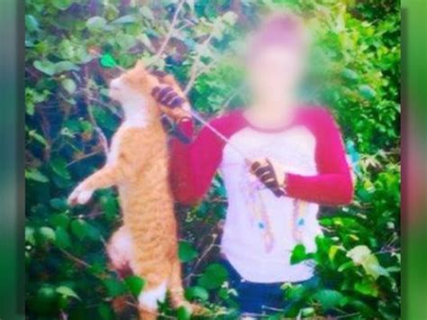 Vet Who Killed Cat With Arrow Gets License Suspended