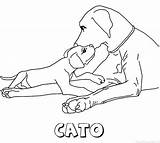 Cato Kleurplaten Hond Eekhoorn sketch template