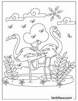 Flamingos Verbnow Facing Illustration sketch template