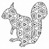 Geometric Squirrel Thecottagemarket sketch template