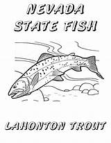 Coloring Lake Tahoe Designlooter Lahontan Trout Nevada Windy Pinwheel Cutthroat Fish State Book Drawings sketch template