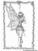 Coloring Fairy Fabelwesen Malvorlagen Drachen Ausmalen Fairyland Phee Mcfaddell Erwachsene Fairies 8x11 Malbuch sketch template