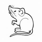 Souris Coloriage Rata Rat Animales Ratas Raton Coloriages Animaux Imprimer Ratoncitos Imprimé Enfant Digitales Sellos Fieltro Mandalas Páginas Historietas Kb sketch template