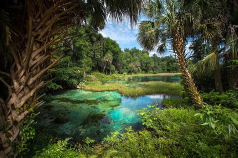 natural freshwater springs florida photo  big photo