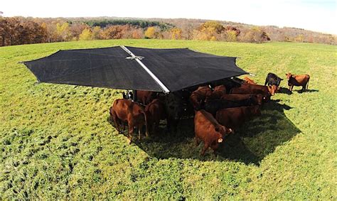 smaller  affordable portable shade system ag industry news