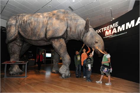 giant animals   extinct