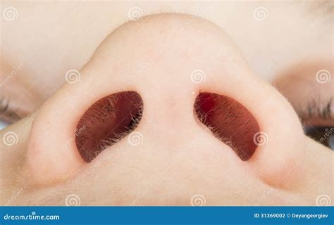 human nose stock photography image