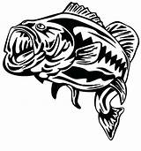 Bass Coloring Pages Fish Fishing Outline Outlines Furious Target Color Tattoo Largemouth Getcolorings sketch template