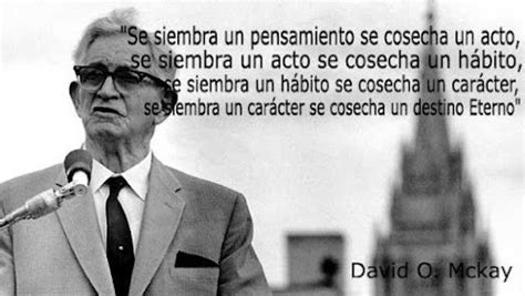 grandes pensadores frases libres page