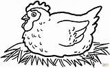 Galinha Ovos Chocando Frango Hatching Chickens sketch template
