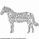 Coloring Pages Pattern Horse Zentangle Easy Getcoloringpages sketch template