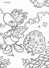 Coloring Duck Daisy Pages Donald Peacock Printable Disney Print Mouse Book Kolorowanki Angry Mickey Coloriage Info Popular Do Library Kids sketch template