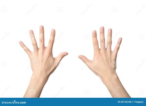 hand sign  number ten stock photo image  numbers