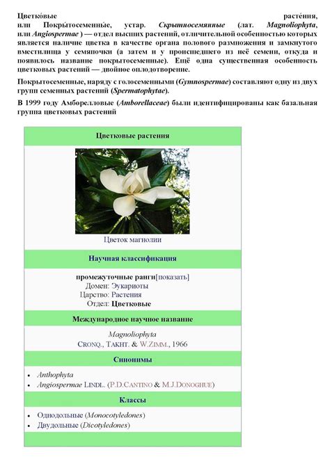 tsvetkovye rasteniya lat magnoliophyta ili angiospermae