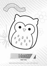 Squishmallows Hoot Printable Squishmallow Xcolorings sketch template