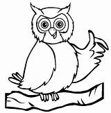 Owl Coloring Pages Sheets Print Kids Owls Color Choose Board Cute sketch template