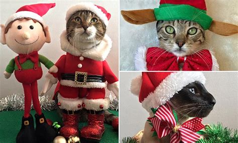Woman Dresses Up Her Cats For Christmas In Festive Onesies Daily Mail
