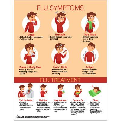 flu symptoms treatment infographic poster seton