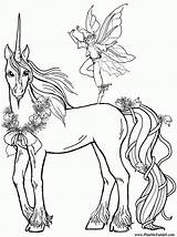 Coloring Pages Adults Printable Fairies Fairy Popular sketch template