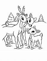 Misfit Misfittoys Zooba Rudolph Dolly sketch template